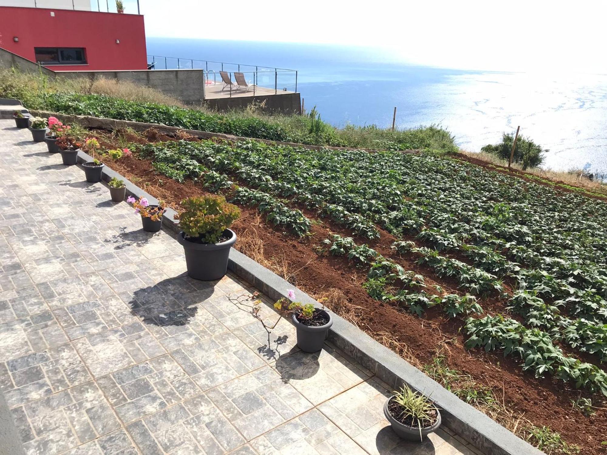 Palheirinho Da Achada Villa Arco da Calheta  Bagian luar foto